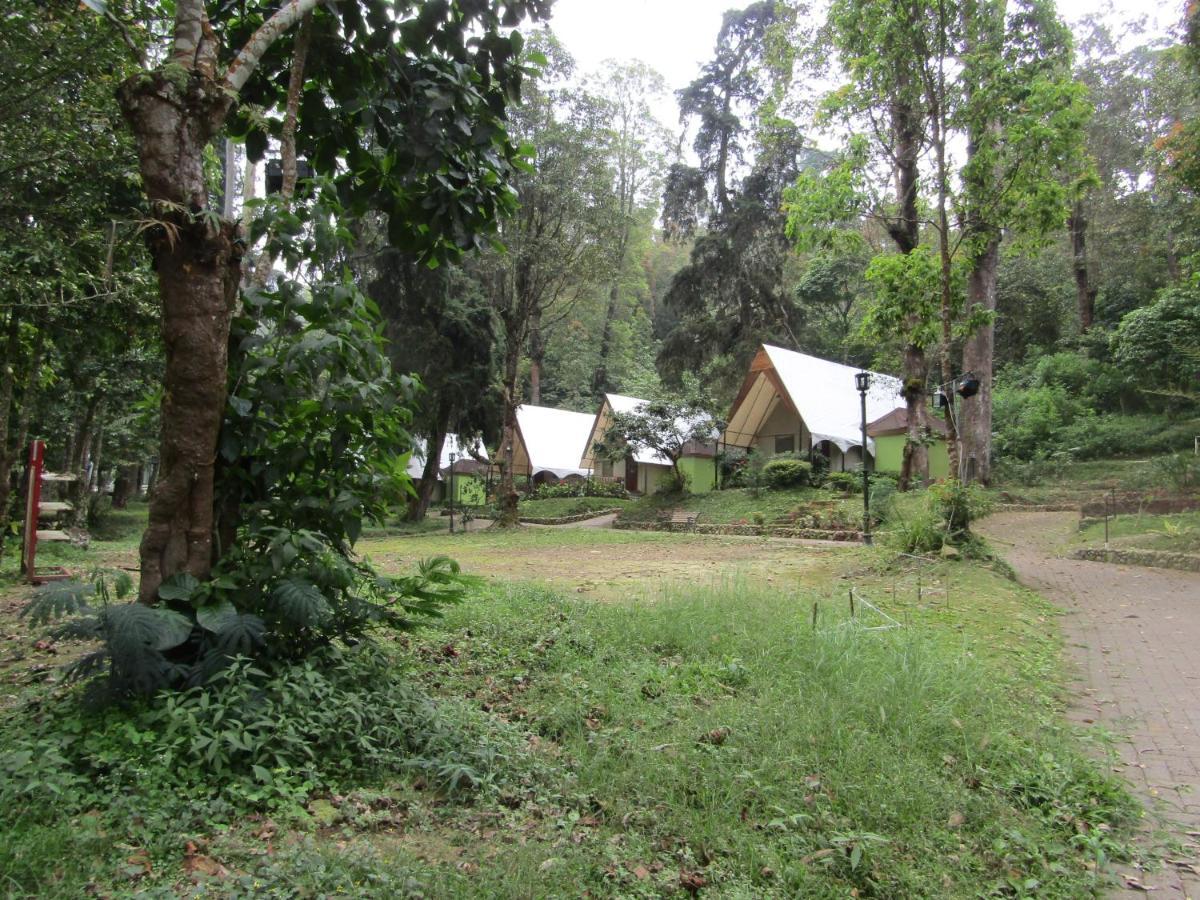 Lawu Forest Camp Sarangan Eksteriør billede