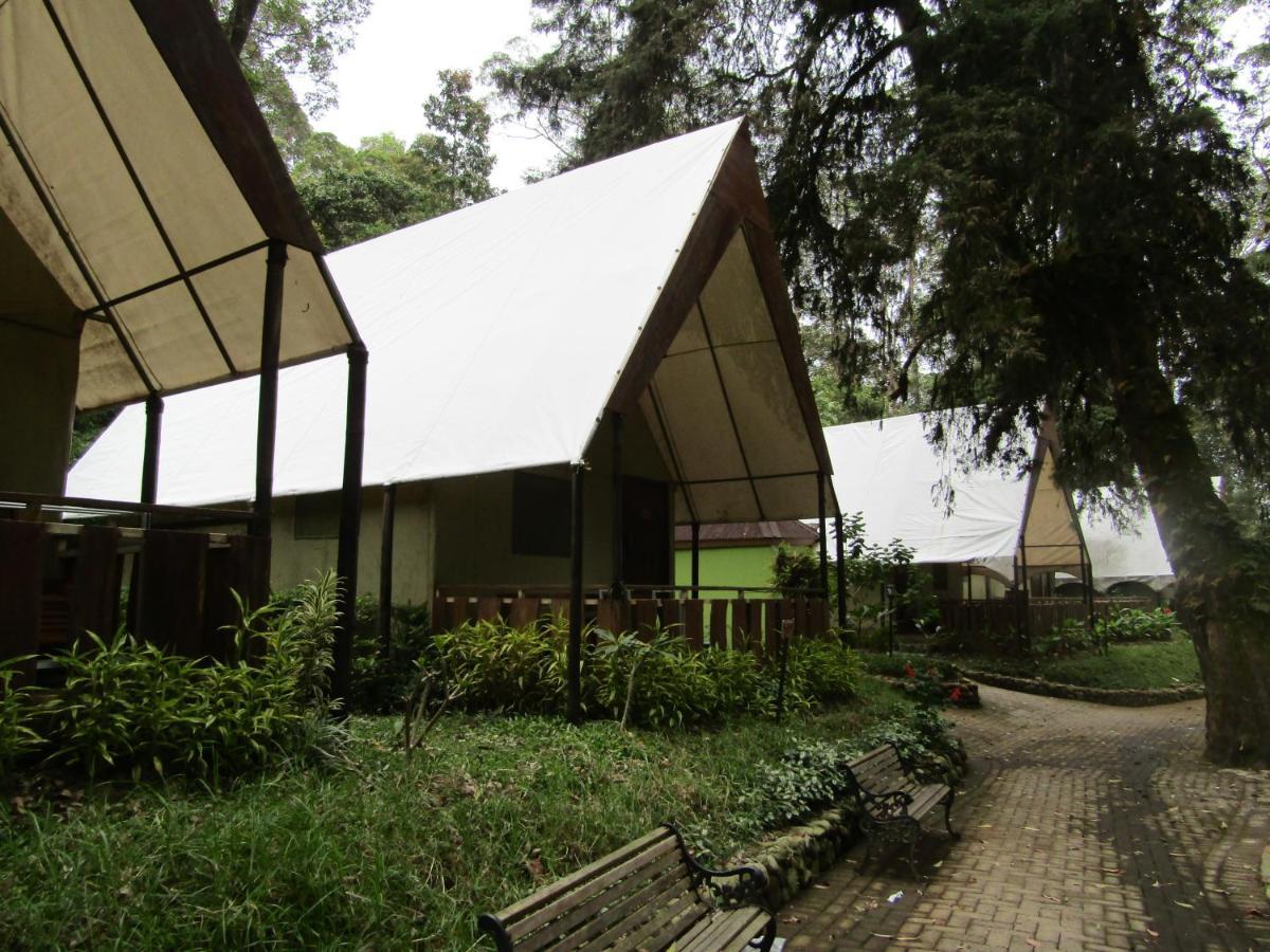 Lawu Forest Camp Sarangan Eksteriør billede