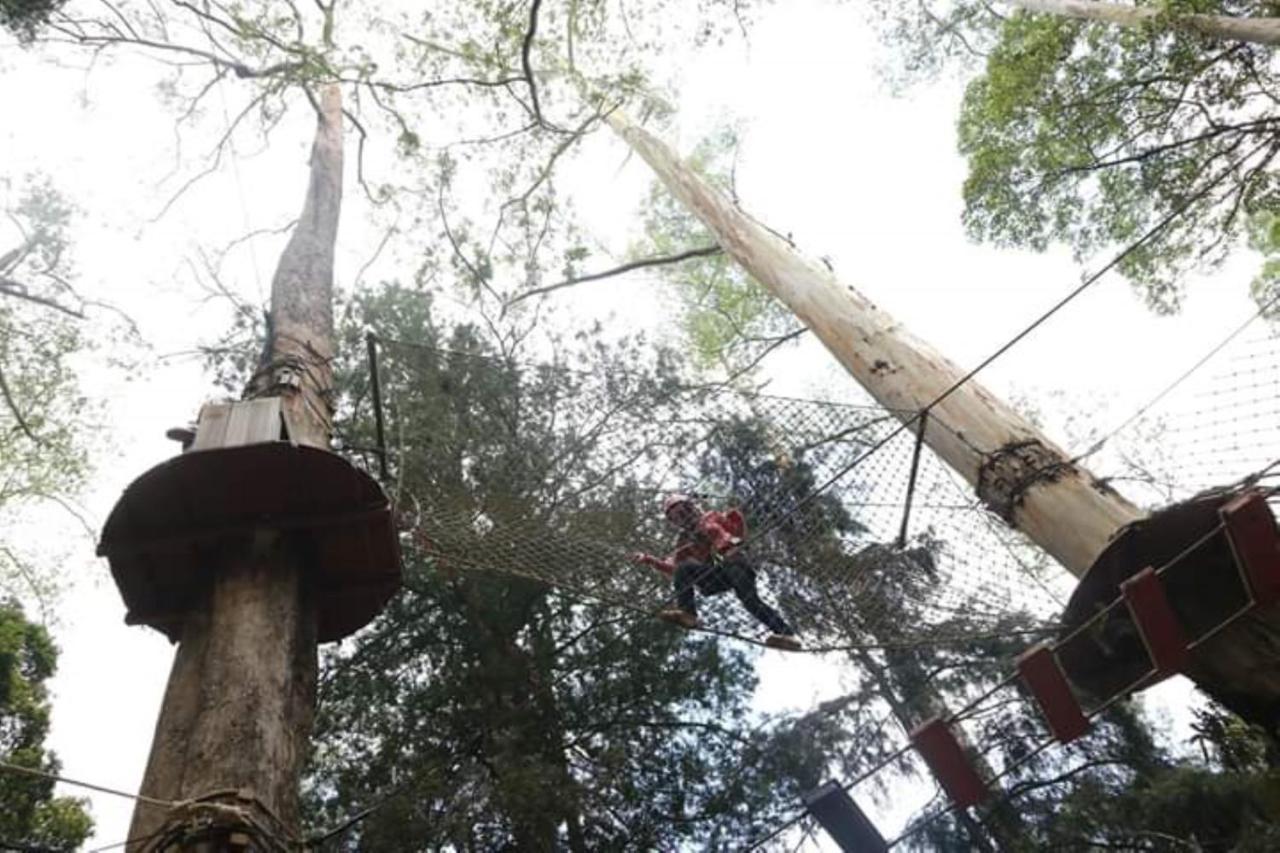 Lawu Forest Camp Sarangan Eksteriør billede