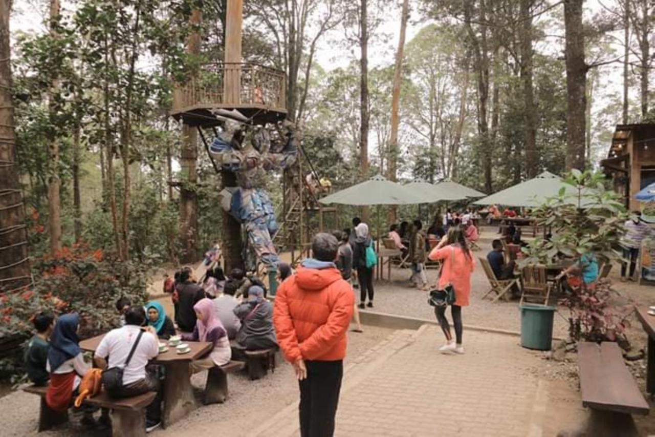 Lawu Forest Camp Sarangan Eksteriør billede